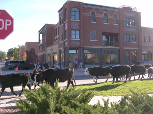 Carbondale is more than your average cowtown.